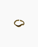 Anillo ondas