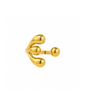 Anillo Borale